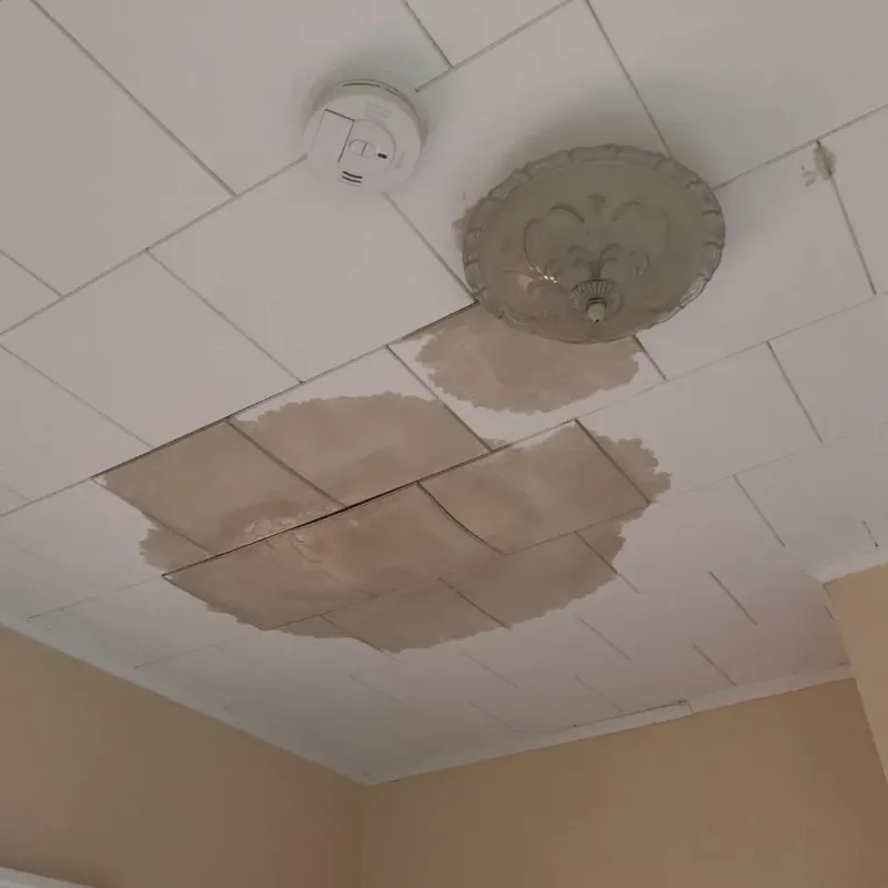 Ceiling Water Damage Repair in Gillespie, IL
