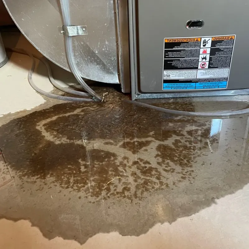 Pipe Burst and Leak Restoration in Gillespie, IL