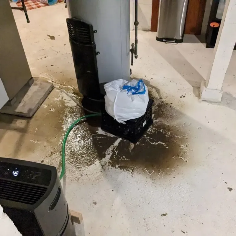 Sewage Backup Cleanup Service in Gillespie, IL